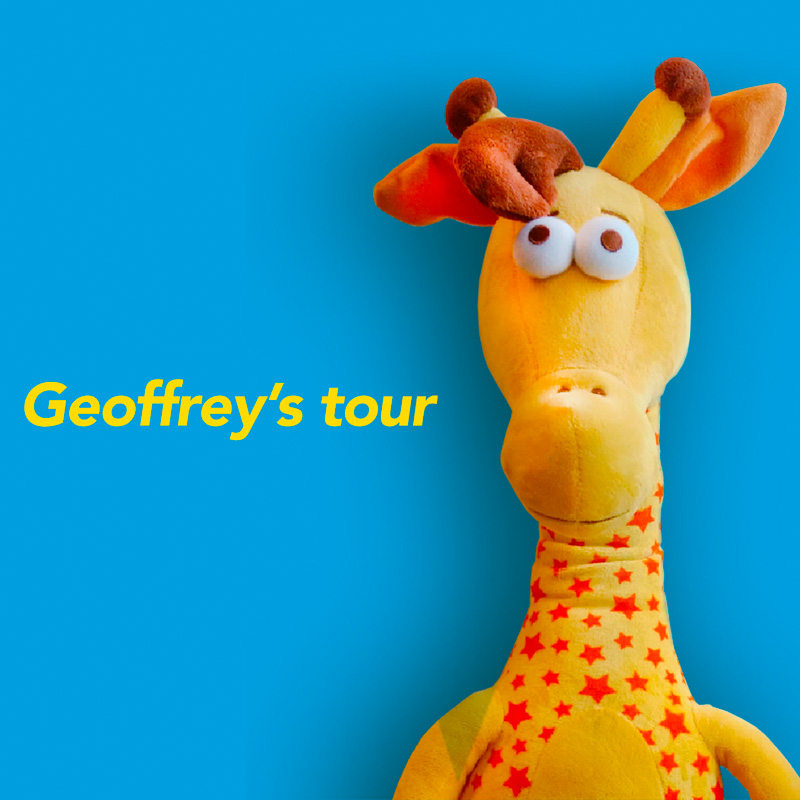 ¡Ven a conocer a Geoffrey!