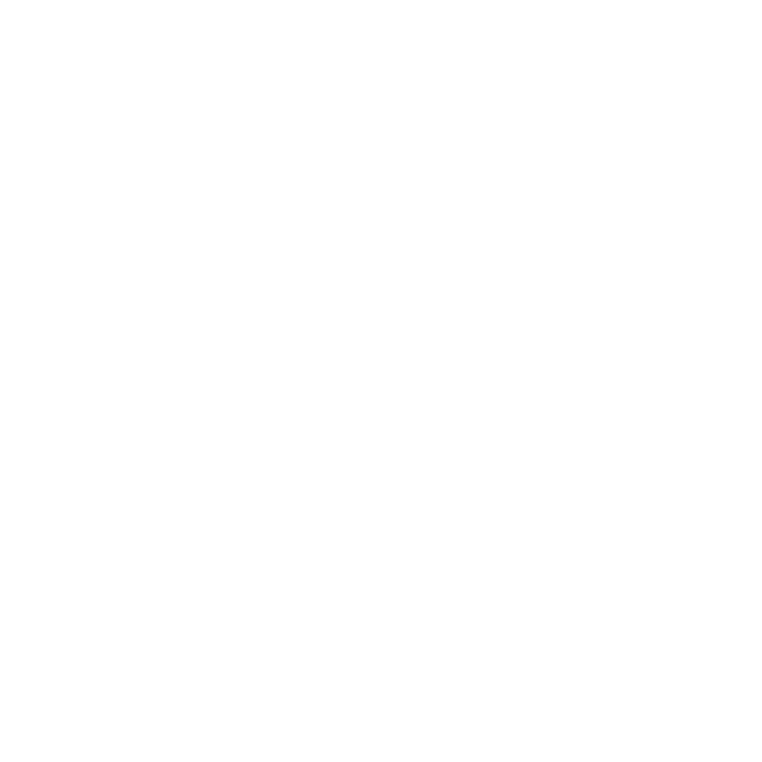 LIMPIA ZAPATOS